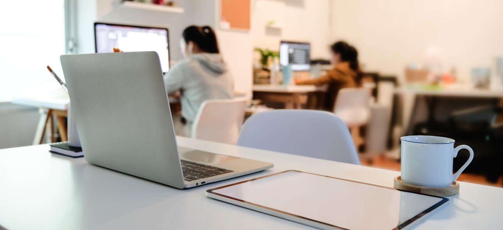 Desarrollo de programas colaborativos